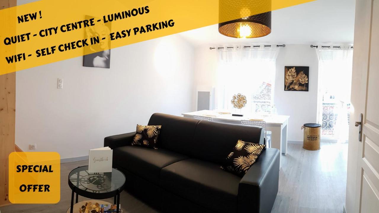 Les Nuits D'Anis - Appartements Hypercentre Le Puy-en-Velay Eksteriør billede