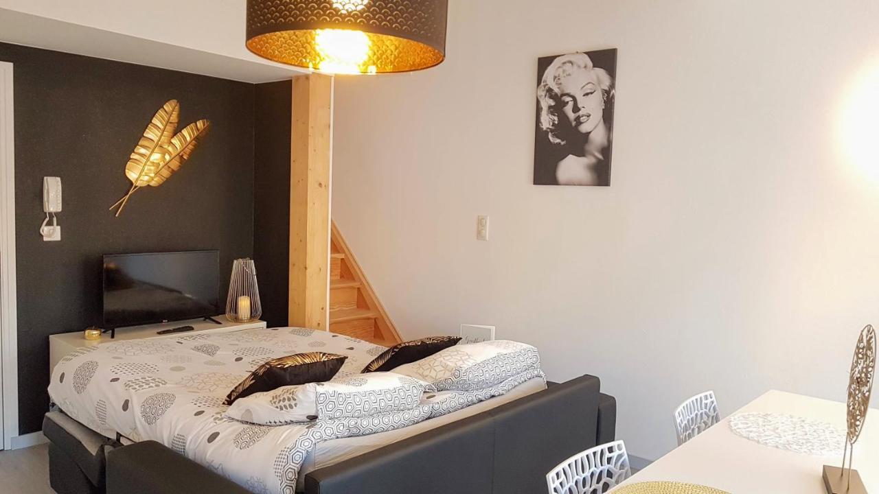 Les Nuits D'Anis - Appartements Hypercentre Le Puy-en-Velay Eksteriør billede