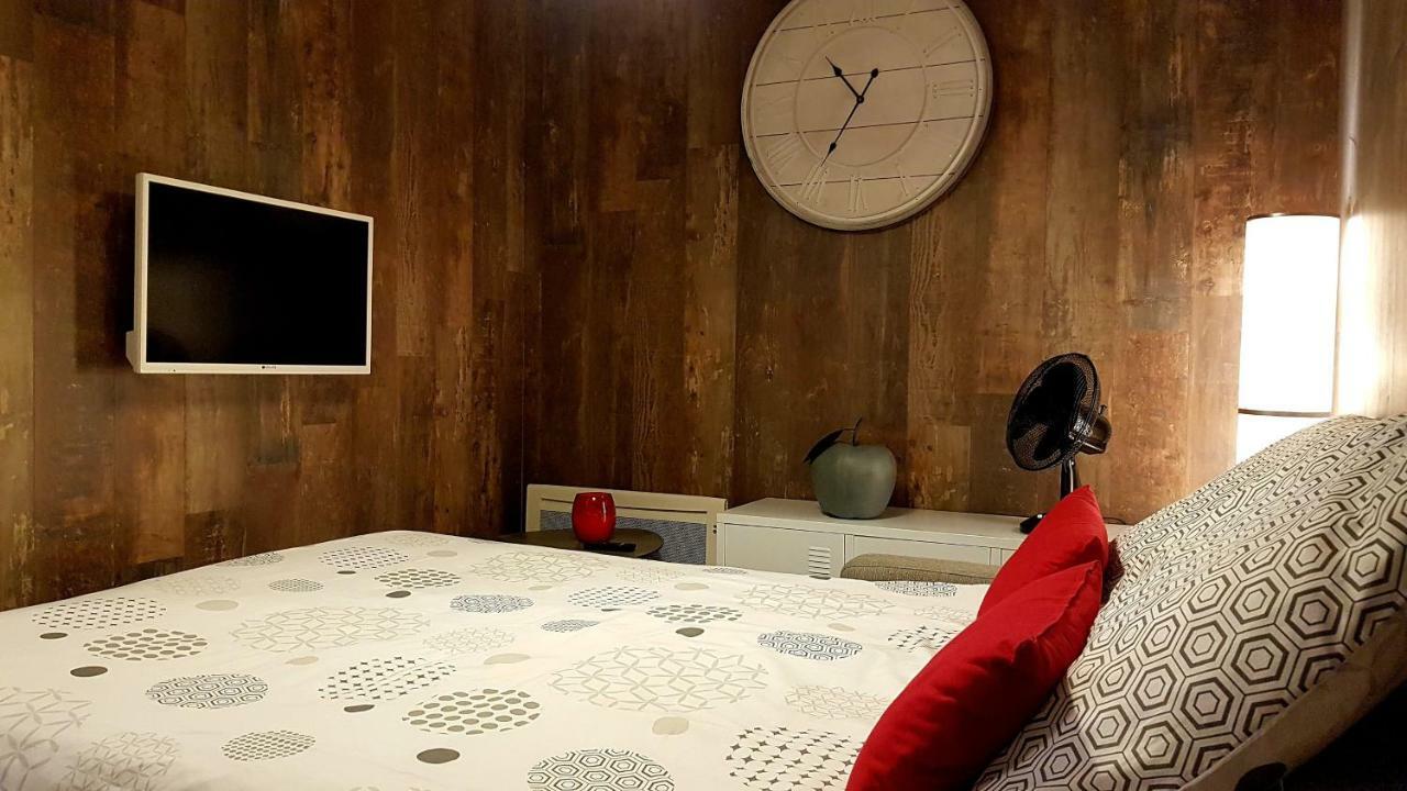 Les Nuits D'Anis - Appartements Hypercentre Le Puy-en-Velay Eksteriør billede