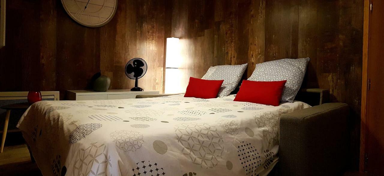 Les Nuits D'Anis - Appartements Hypercentre Le Puy-en-Velay Eksteriør billede
